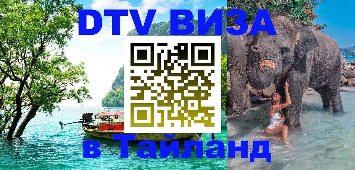 Оформление DTV визы под ключ: стоимость и тарифы, только загранпаспорт - Калуга  03.10.2025 